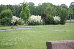 englischer_garten_05