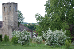 englischer_garten_06
